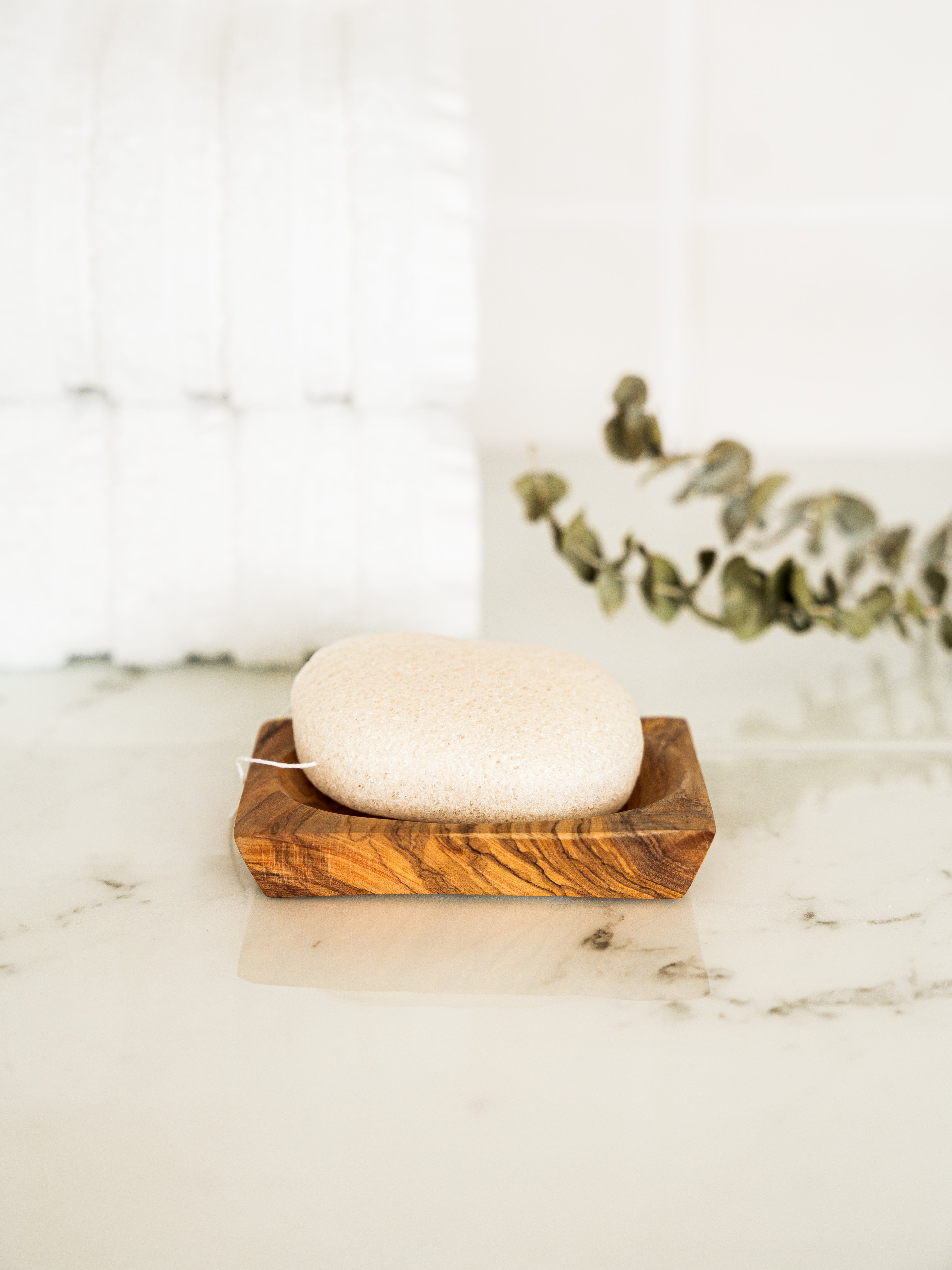 Compostable Konjac Sponge