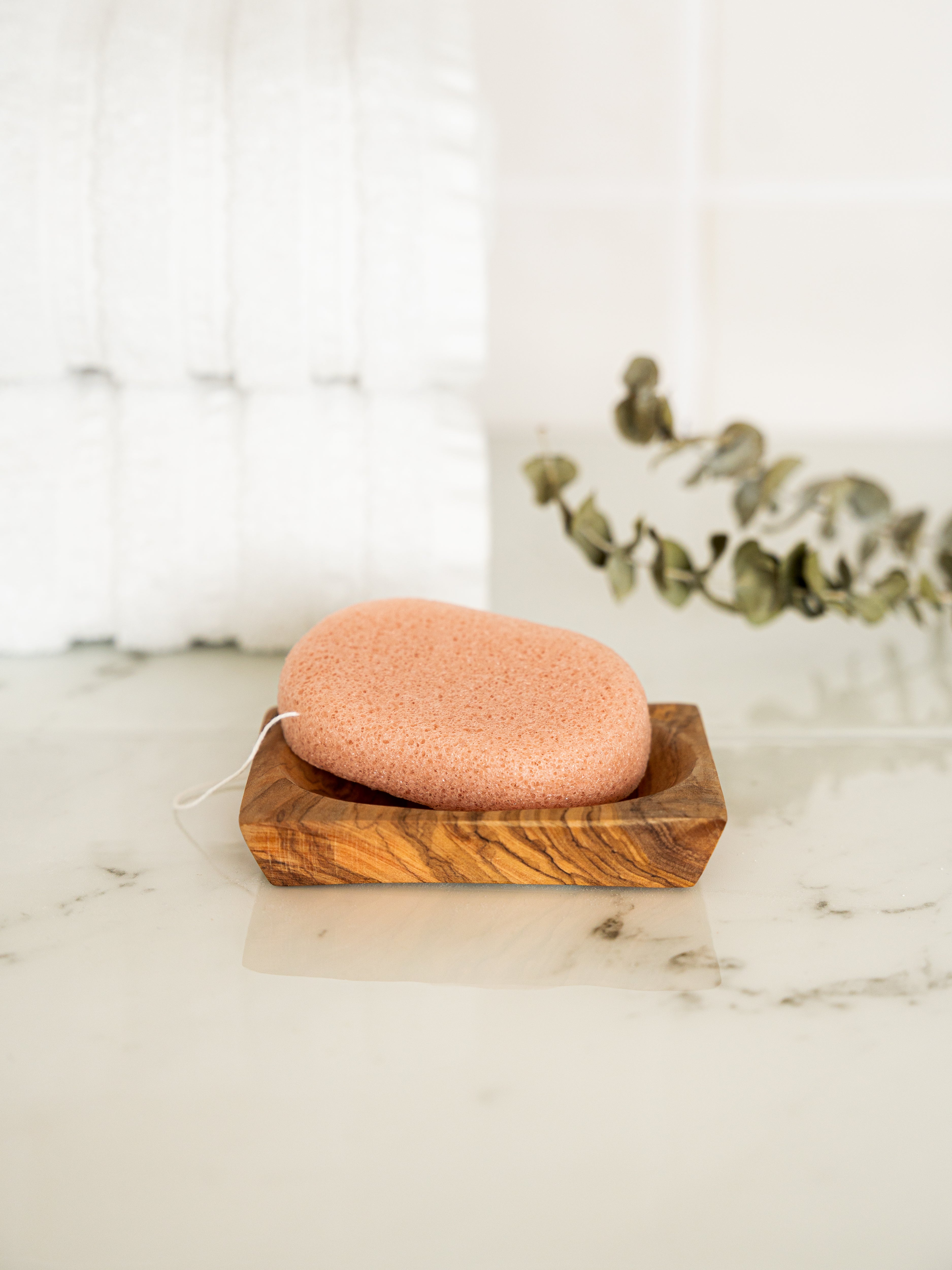 compostable konjac sponge