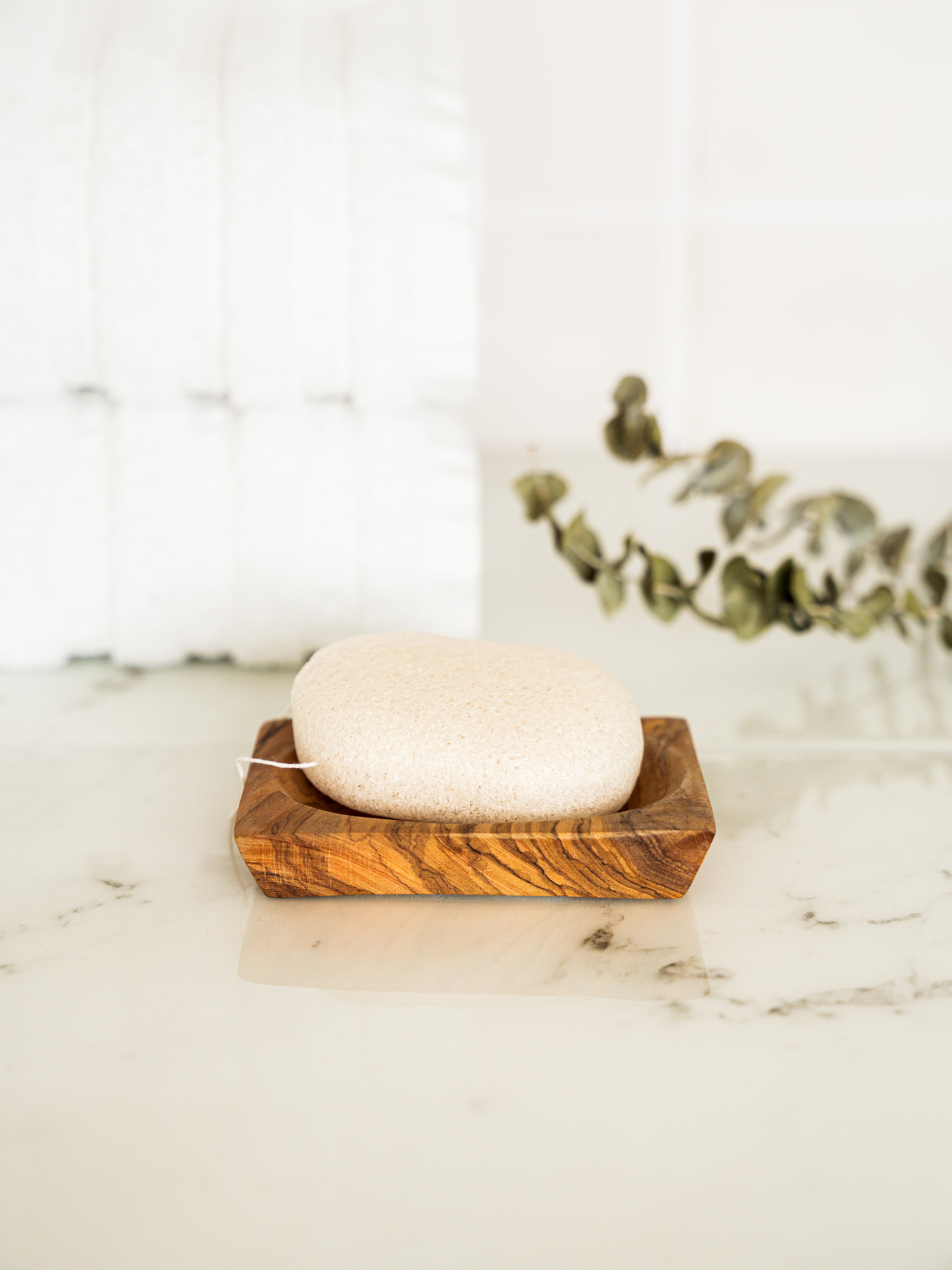 compostable konjac sponge